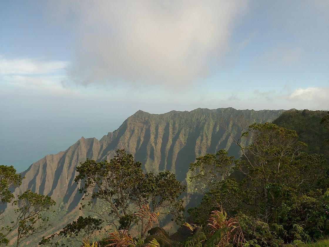 The green Na Pali cliffs seen from Kalalau Lookout, Kauai